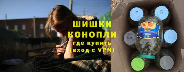 прущие грибы Абдулино