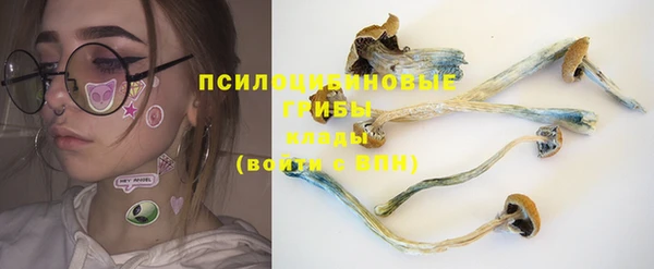 трава Алзамай