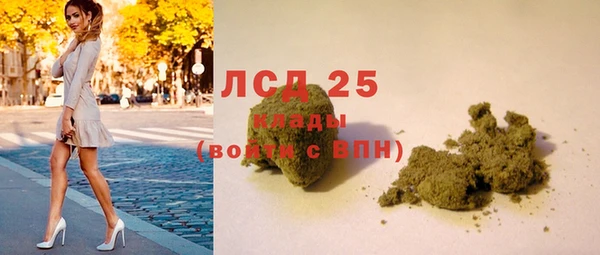 прущие грибы Абдулино