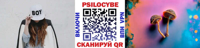 Псилоцибиновые грибы мицелий как найти наркотики Каменск-Уральский